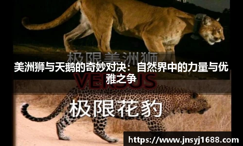 星空·综合体育中国官网