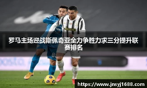 星空·综合体育官方网站