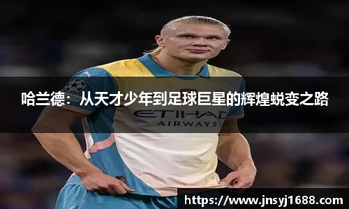 星空·综合体育官方网站