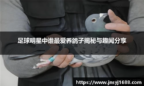 星空·综合体育中国官网