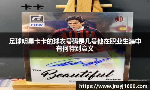 星空·综合体育中国官网