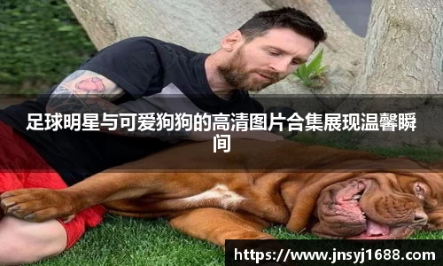 星空·综合体育官方网站